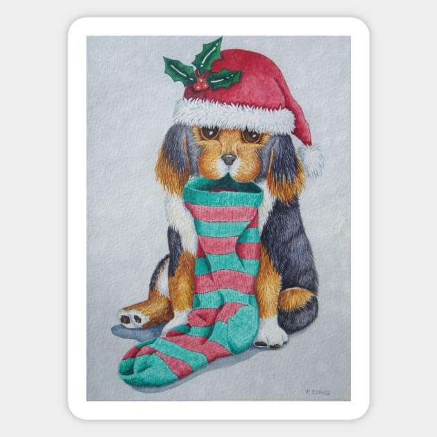 cute black and brown puppy with christmas stocking Sticker by pollywolly